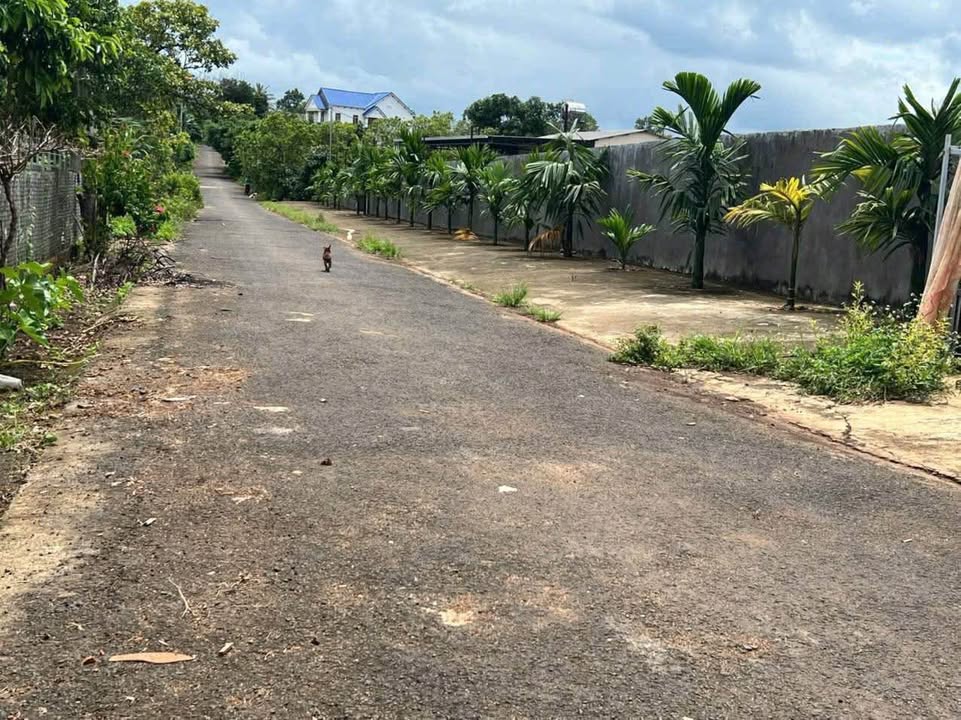 Đất nền Xã Ea Kao, TP Buôn Ma Thuột 360m² giá 890 triệu - Cơ hội đầu tư tuyệt vời!