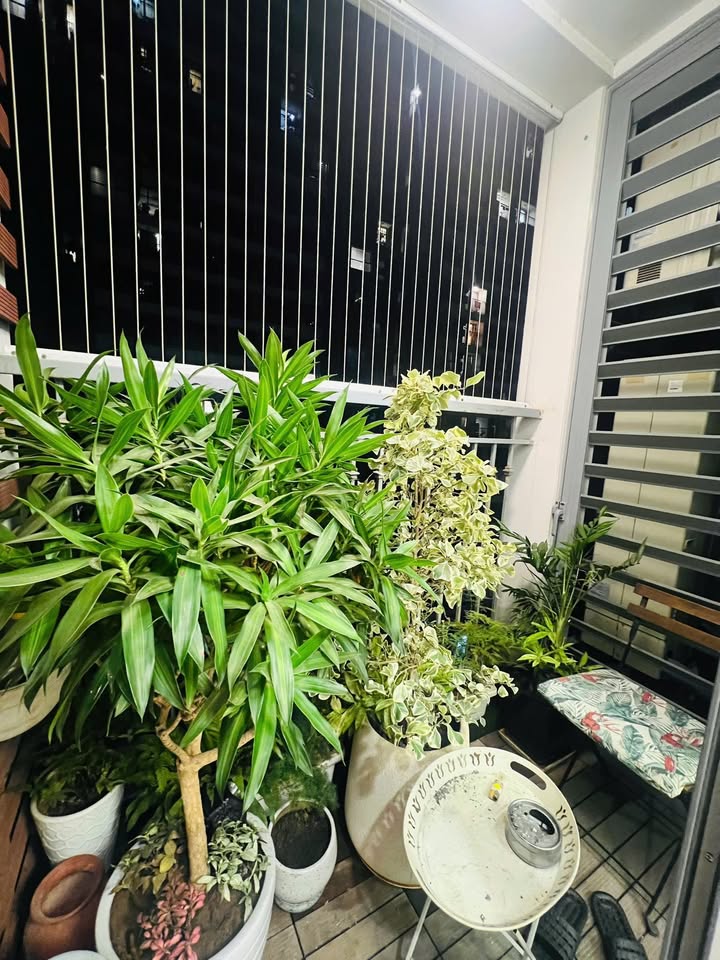 Căn hộ Park 10 Times City 118m² - View bể bơi, ban công Nam cực mát