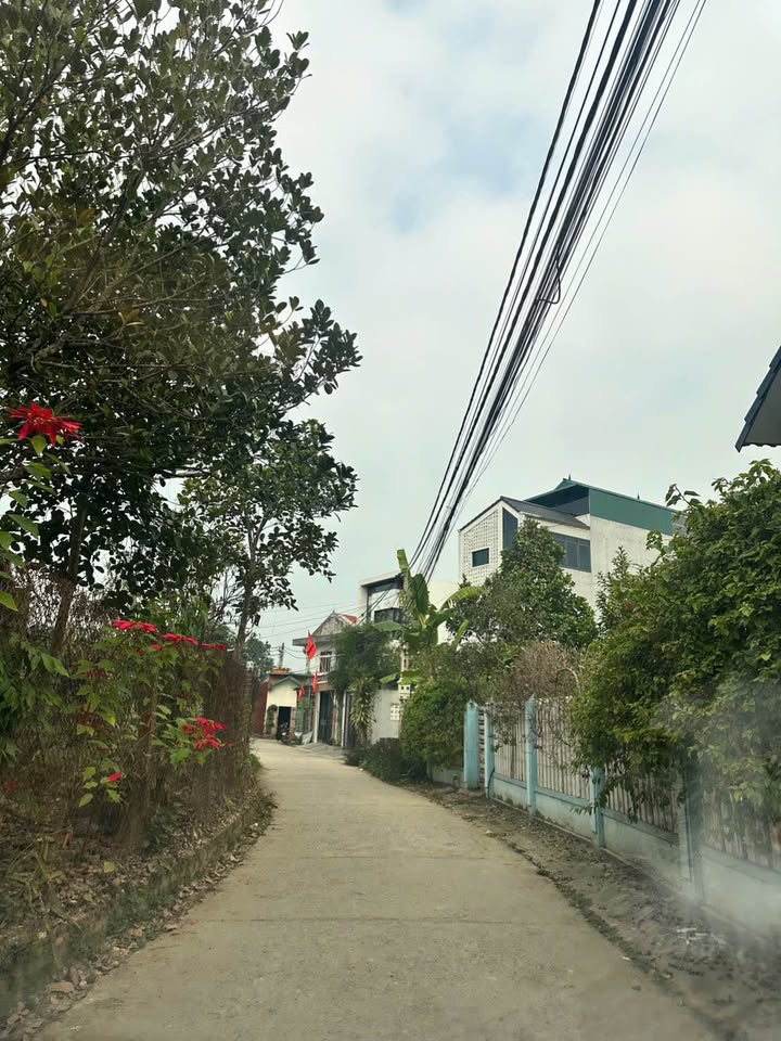 Bán đất nền Đề Thám TP. Cao Bằng 100m² giá 700 triệu - Sổ đỏ chính chủ