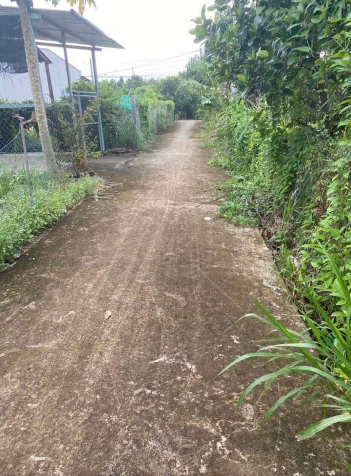 Đất nền Cái Bè 166m² - Sổ đỏ chính chủ, công chứng ngay!