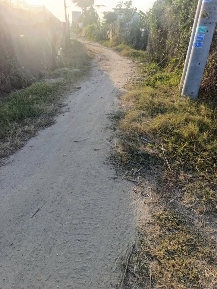 Đất vườn Ninh Phước 725m² giá 370 triệu - Nghỉ dưỡng lý tưởng!