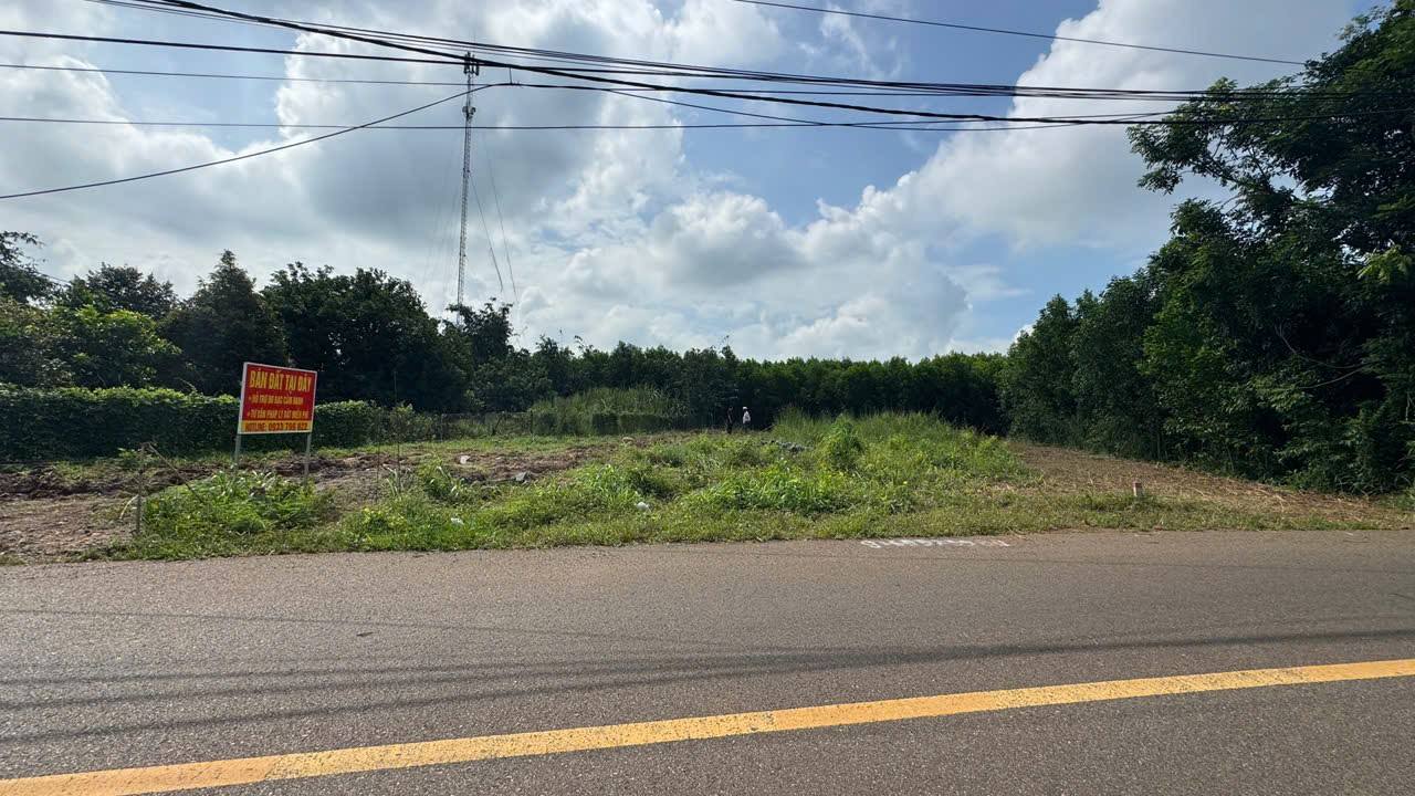 Đất nền mặt tiền Long Tân - Nhơn Trạch 200m² - Kinh doanh đa ngành