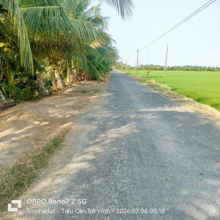 Đất nông nghiệp 14,168m² tại ấp Trinh Phụ, xã Long Thới - Thích hợp làm khu nghỉ dưỡng!