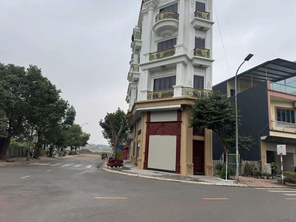 Đất đấu giá Niềm Xá, Kinh Bắc 99.5m² - Đường to ô tô