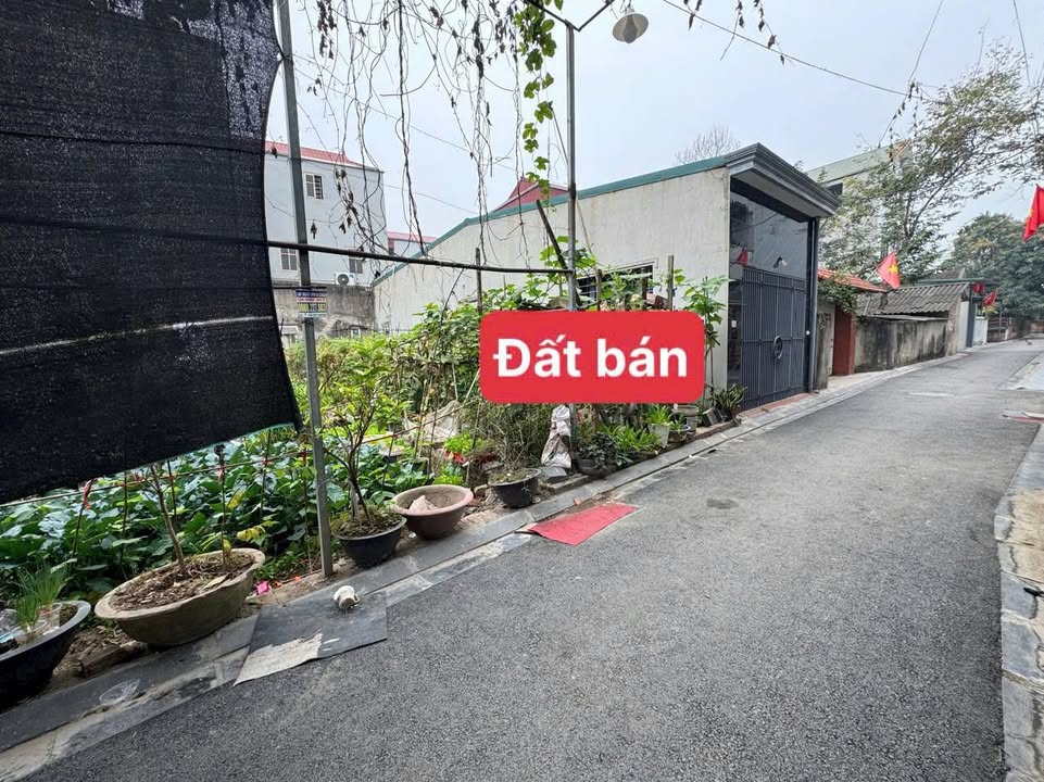 Đất nền Lương Quy Đông Anh 56m² giá 4 tỷ - Sổ đỏ chính chủ