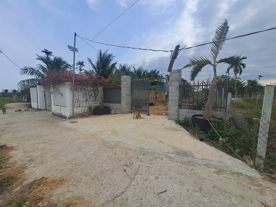 Đất vườn Đô Vinh Phan Rang 1500m² hơn 2 tỷ - Nghỉ dưỡng lý tưởng!