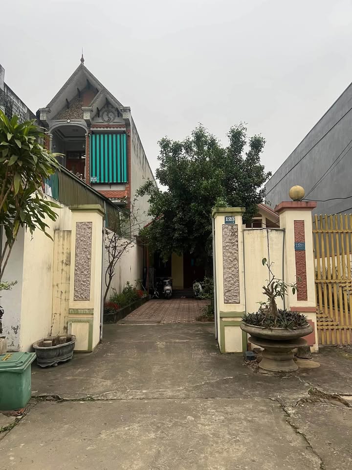 Bán nhà Thường Xuân 215m² - Sẵn sàng ở ngay, vị trí đắc địa!