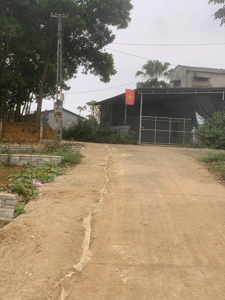 Đất nền An Tường, Tuyên Quang 168m² - Đường to ô tô, kinh doanh đỉnh!