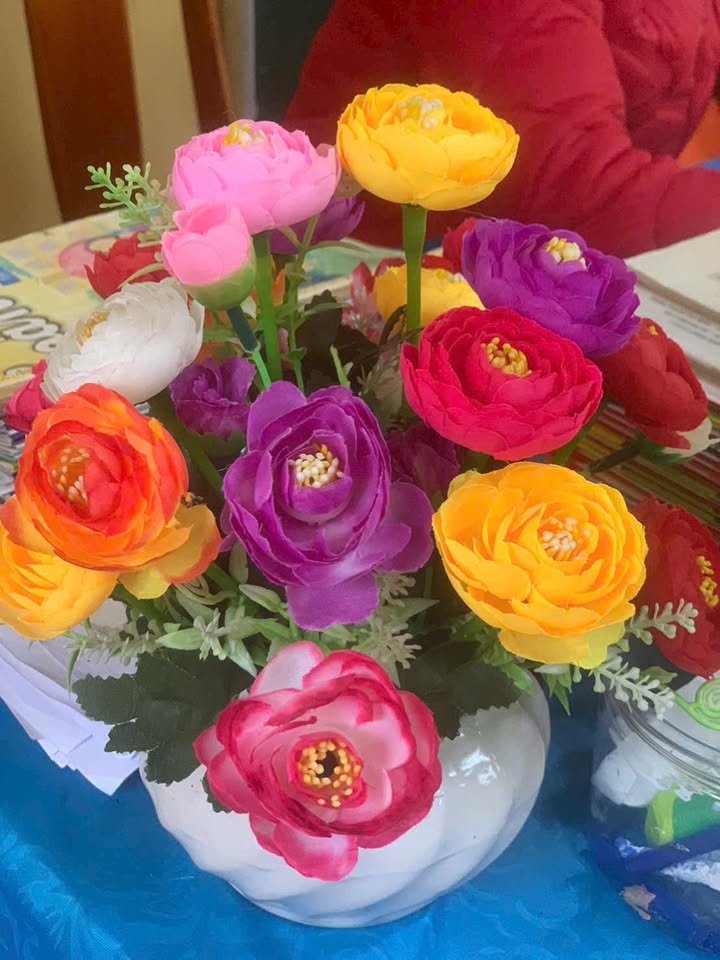 Đất nền An Tường, Tuyên Quang 100m² - Giá F0 cực hấp dẫn!