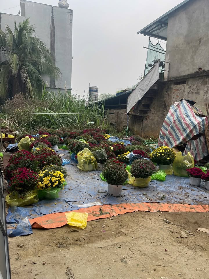 Đất nền Phường Phan Thiết 154m² Sổ đỏ chính chủ - Vị trí đắc địa!