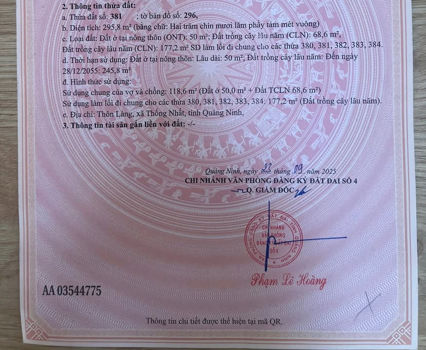 Đất nền Thôn Làng Hạ Long 118m² 1.25 tỷ - Sổ đỏ chính chủ giá tốt!