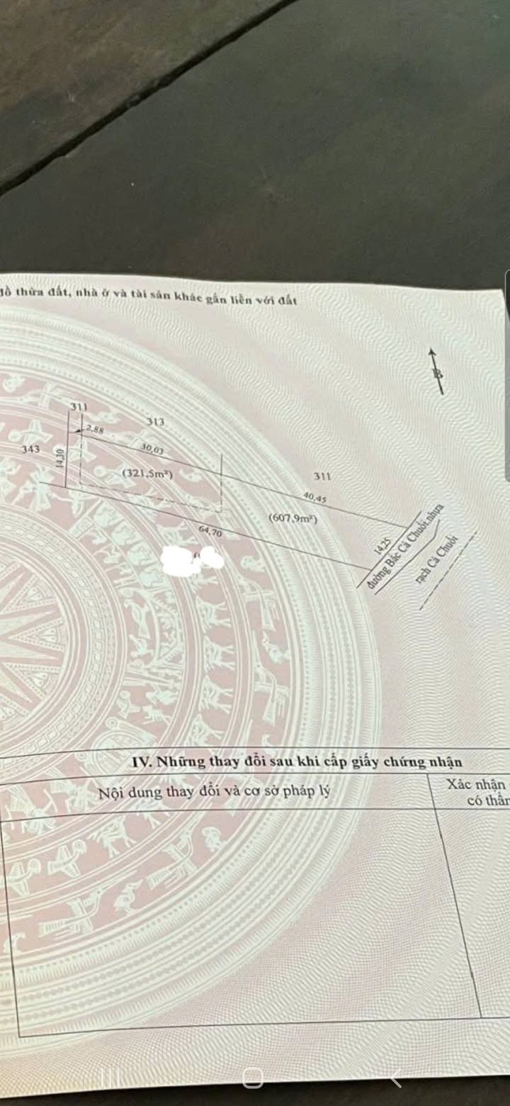 Đất nền 1000m² mặt tiền đường nhựa và sông tại Tân Bình, Giá 1.25 tỷ - Đầu tư sinh lời!