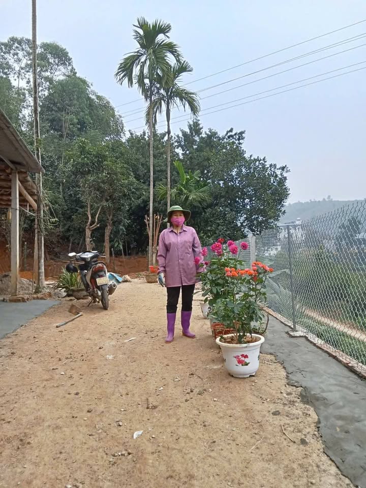 Farm Thị trấn Yên Bình, Yên Bái 3500m² - Nghỉ dưỡng lý tưởng!