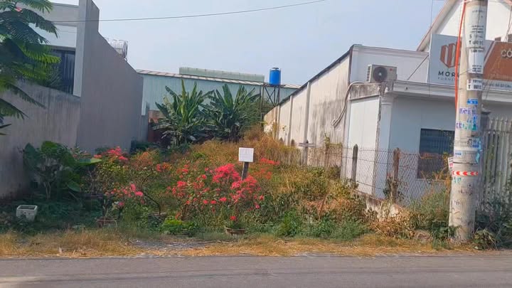 Nhà Phố Củ Chi 263m² - Mặt Tiền Kinh Doanh Đắc Địa