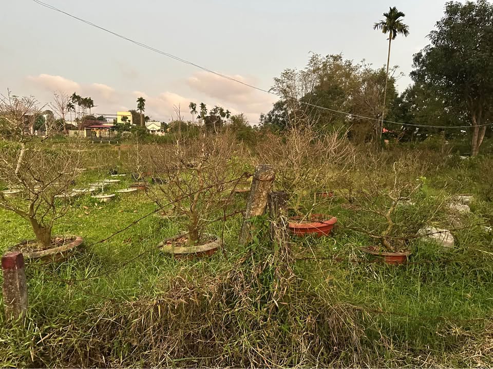 Đất nền Điện Hòa, Quảng Nam 110m² chỉ 700 triệu - Chính chủ cần bán gấp!