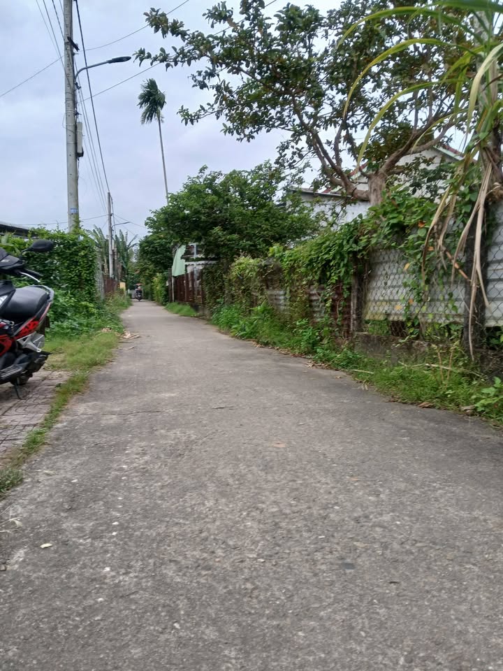 Đất Nền Điện Bàn Quảng Nam - 204m² Hướng Nam, Gần Võ Như Hưng