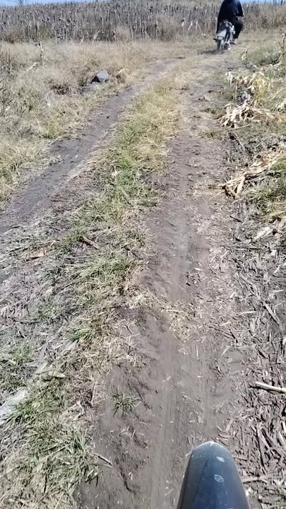 Bán Đất Farm Ia Piar Phú Thiện 2.5ha Giá 290 Triệu - Nghỉ Dưỡng Lý Tưởng!