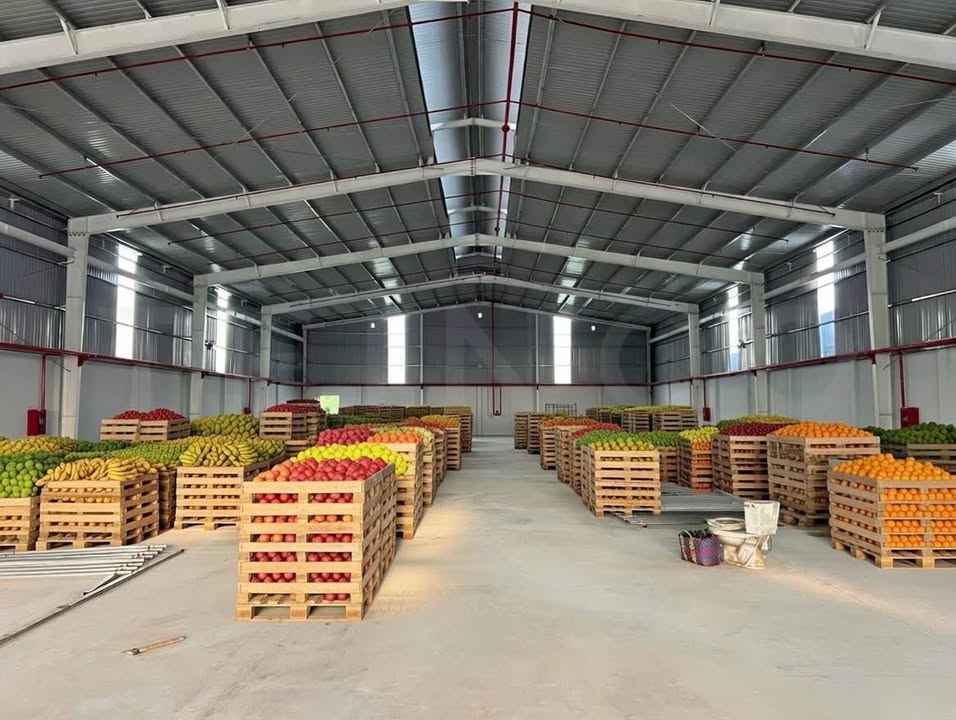 Cho thuê kho xưởng Cần Thơ 1.100m² mặt QL 61C - Container 24/7