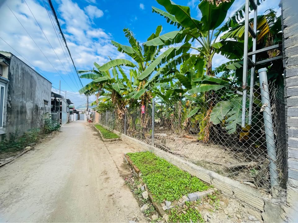 Đất nền Diên An, Diên Khánh 1338,4m² - Đường to ô tô