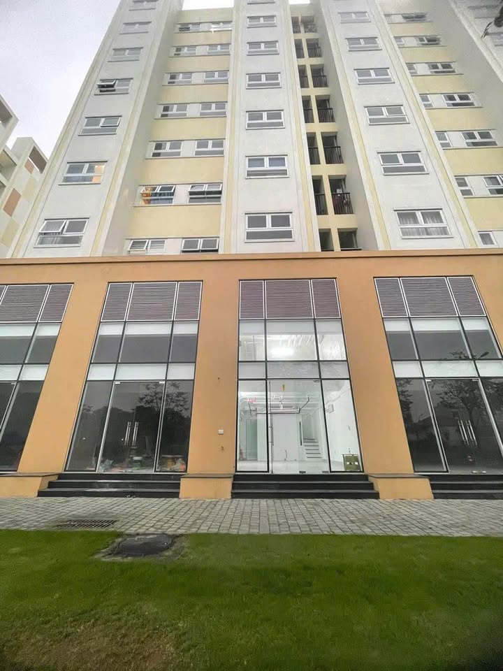 Thuê Shophouse Vũ Phúc Thái Bình 70m² - Mặt tiền kinh doanh cực hot!