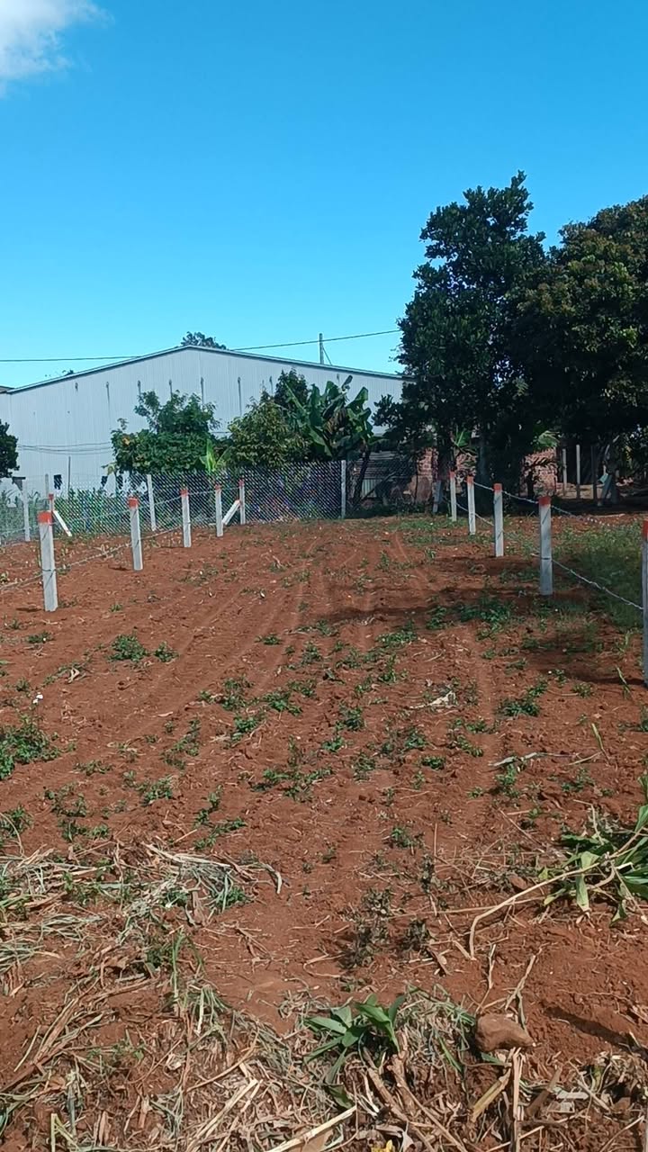 Đất nền An Phú, Pleiku 105m² giá chỉ 500 triệu - Cơ hội đầu tư tuyệt vời!