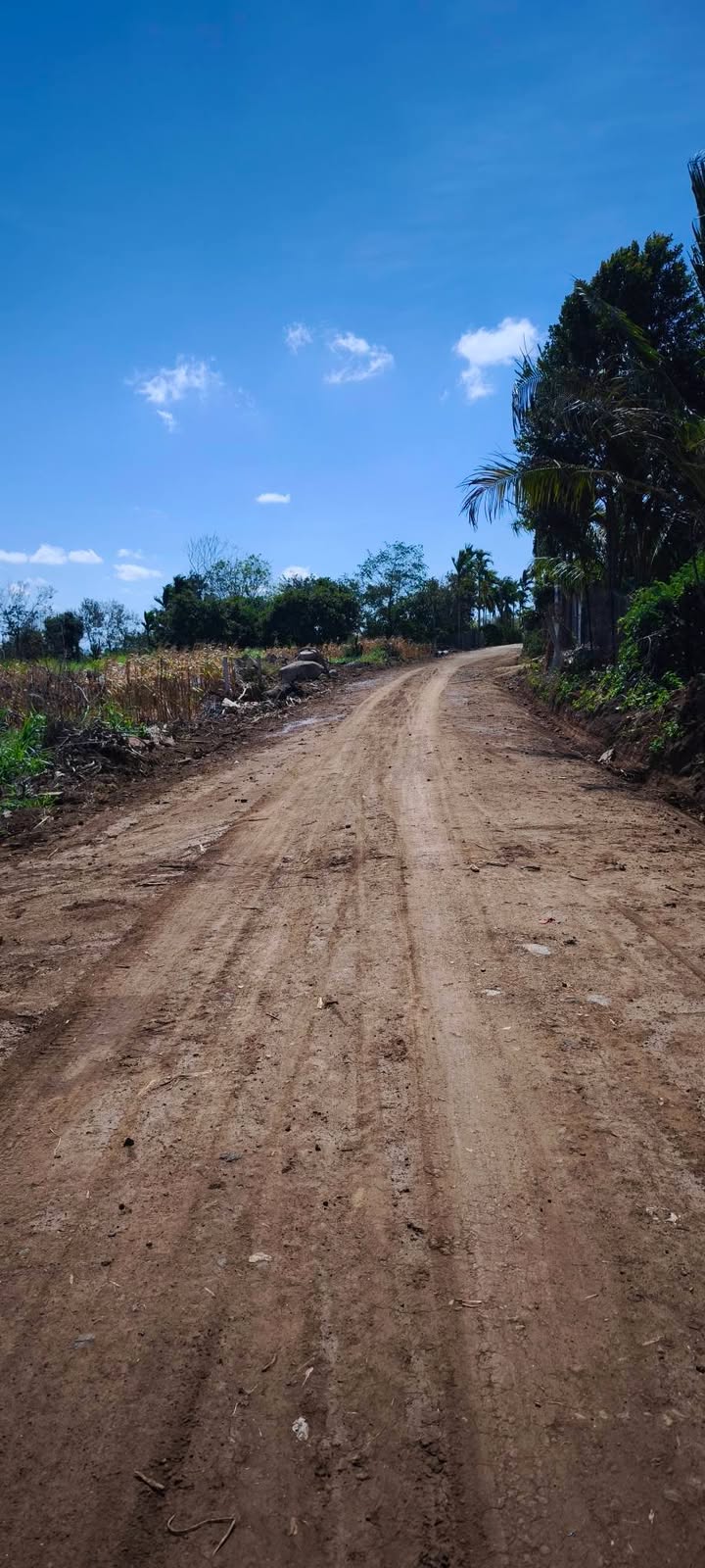 Đất nền thổ cư 125m² tại thôn 11A, Buôn Ma Thuột - Giá chỉ 320 triệu