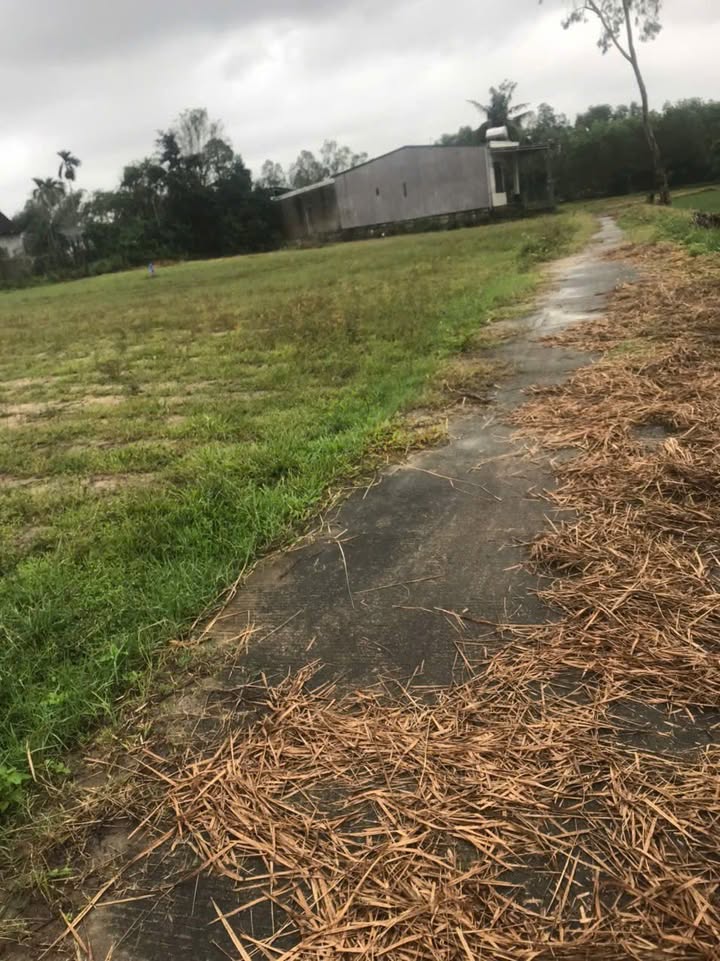 Đất nền 580m² tại Huyện Sơn Tịnh, Quảng Ngãi giá 1 tỷ - Cơ hội đầu tư hấp dẫn!