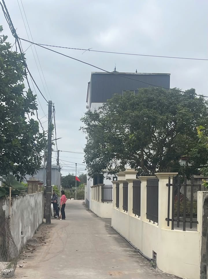 Đất nền Nghĩa Hưng 125m² - Đường to ô tô vào tận đất!