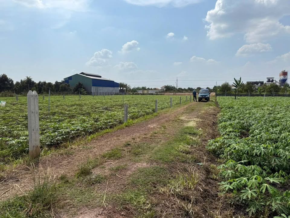 Đất nền Tân Phú, Tây Ninh 125m² - Sổ đỏ full thổ cư, giá chỉ 289 triệu/lô