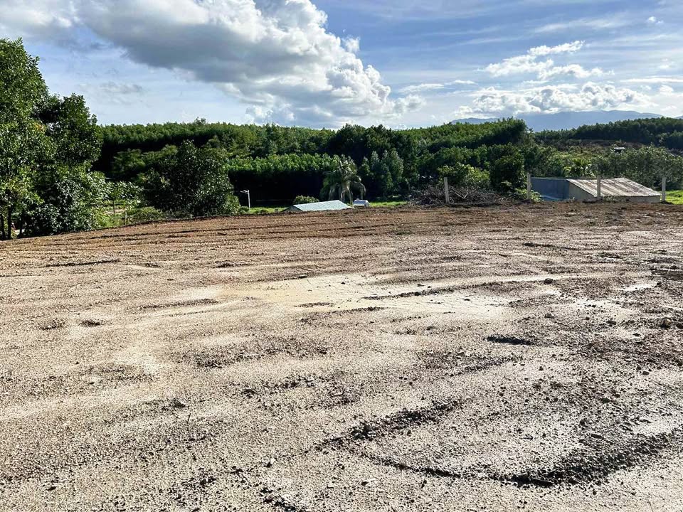 Bán Gấp Nhà Vườn Hòa Vang 4500m² View Đồi Núi - Giá 3 Tỷ