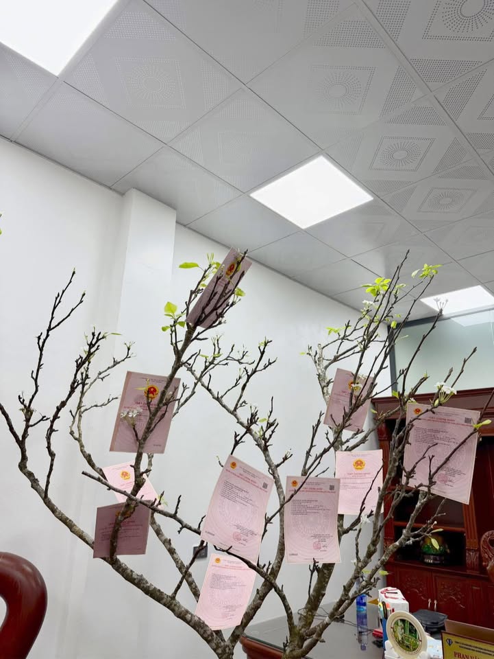 Đất nền khu dân cư mới xã Đức Giang 90m² giá tốt - Cơ hội đầu tư hấp dẫn!