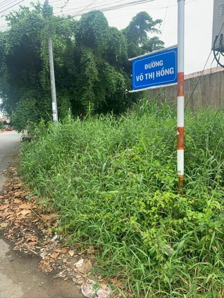 Đất nền P.8 TP Cà Mau 279m² - Hạ tầng hoàn thiện, đường to ô tô!