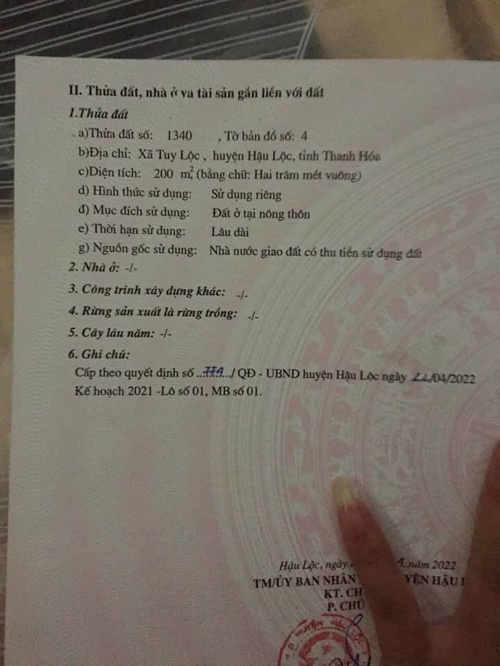 Đất nền Tuy Lộc Hậu Lộc 200m² giá rẻ - Sổ đỏ chính chủ sẵn sàng