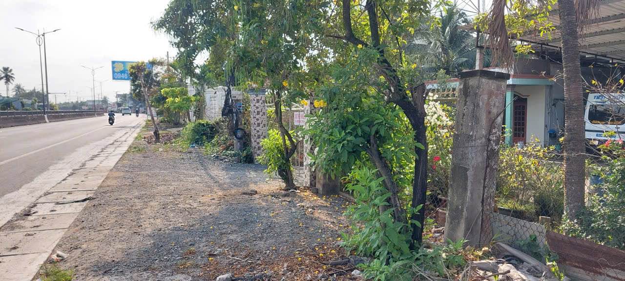 Đất mặt tiền QL1A Nhị Bình 1320m² - Tiềm năng tăng giá