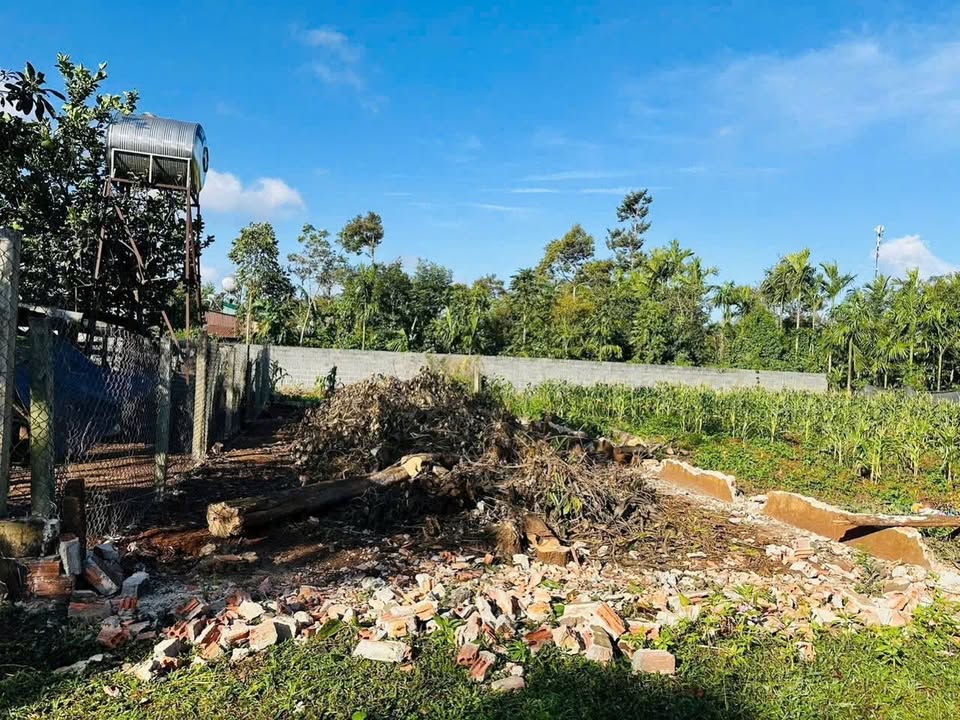 Đất nền mặt tiền Đường D5, Phường Tân An (Mới) - 93m² - Giá 955 triệu