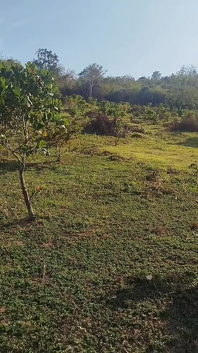 Đất Farm view hồ Lắk 900m² giá 350 triệu - Cơ hội đầu tư hấp dẫn!