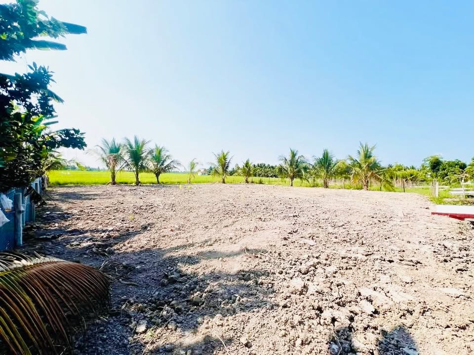 Đất nền Phú Lộc, Tam Bình 310m² - Đường to ô tô, tiềm năng lớn!