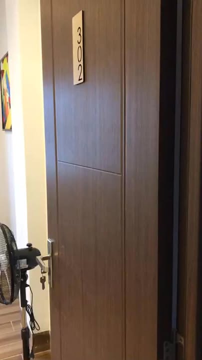 Căn hộ Sơn Thủy Đông 4 55m² giá 5.5 triệu - Sẵn sàng ở ngay