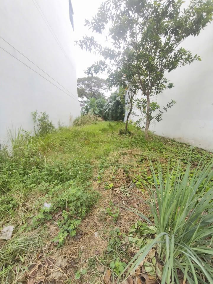 Đất nền Thạnh Mỹ Lợi Quận 2 160m² giá 32 tỷ - Sổ hồng chính chủ