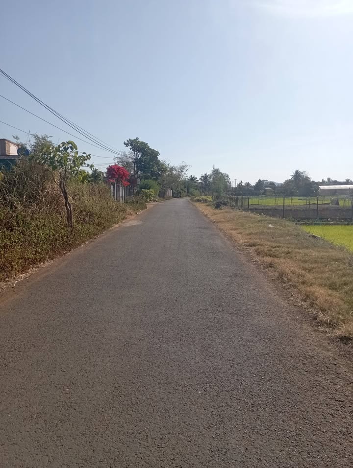 Đất mặt tiền đường Phan Văn Đạt, Buôn Ma Thuột 800m² giá 2.25 tỷ - Đầu tư sinh lời ngay!