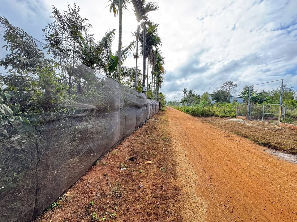 Đất nền Đắk Ru Đắk R'Lấp 830m² giá 1.39 tỷ - Sổ đỏ chính chủ!