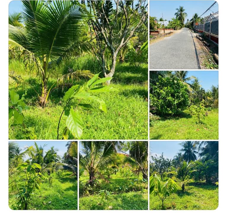 Đất vườn Phú Đức Châu Thành 2400m² giá 3.12 tỷ - Giá đầu tư tốt!