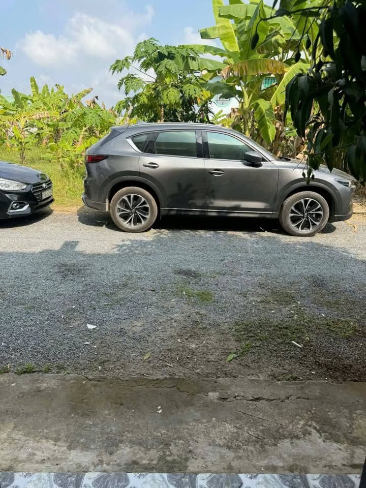 Nhà 110m² Xã Sơn Phú, Giồng Trôm - Giá 5 Triệu/Tháng, Sẵn Sàng Ở Ngay