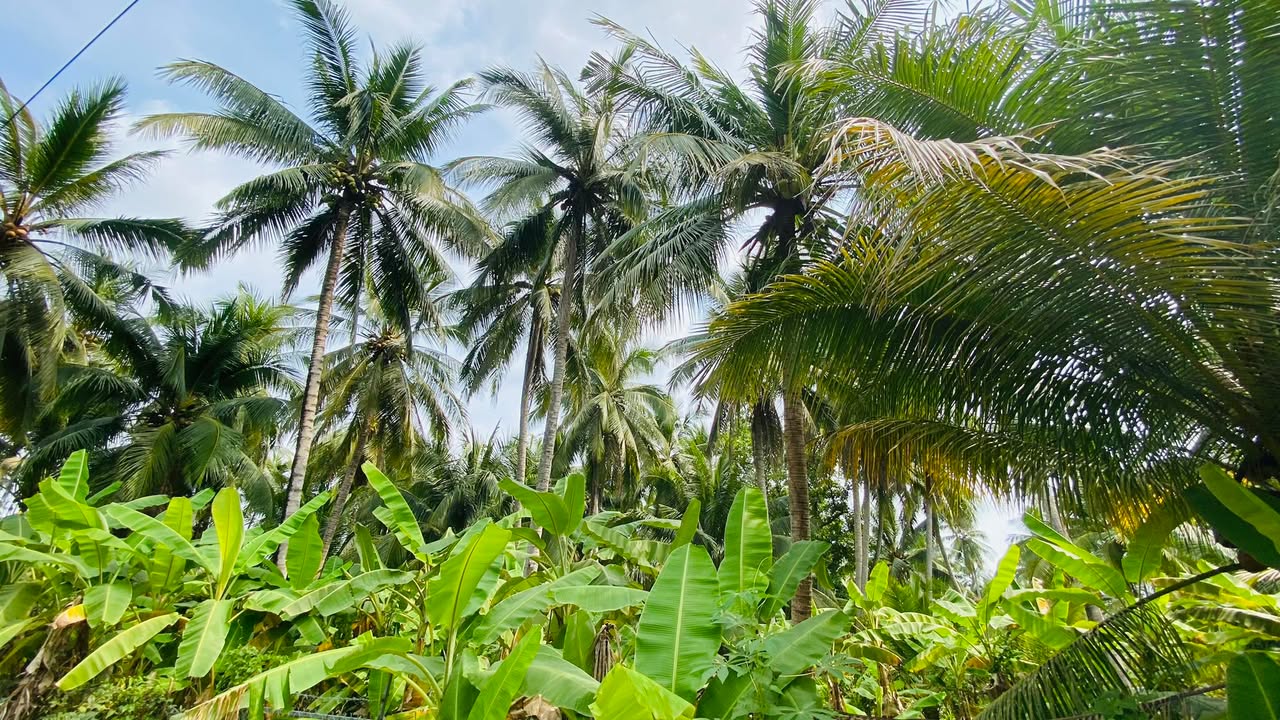 Đất mặt tiền Sơn Đông 3000m² - Sổ đỏ chính chủ, ô tô vào tận nơi!