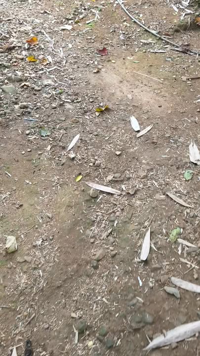 Đất Nghỉ Dưỡng Kim Bôi 2519m² - Sổ Đỏ Chính Chủ, Giá Cắt Lỗ