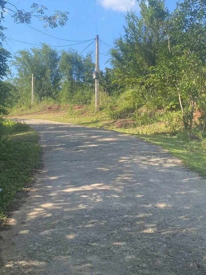 Đất vườn Phú Vinh Tân Lạc 1400m² hơn 1 tỷ - Nghỉ dưỡng lý tưởng!