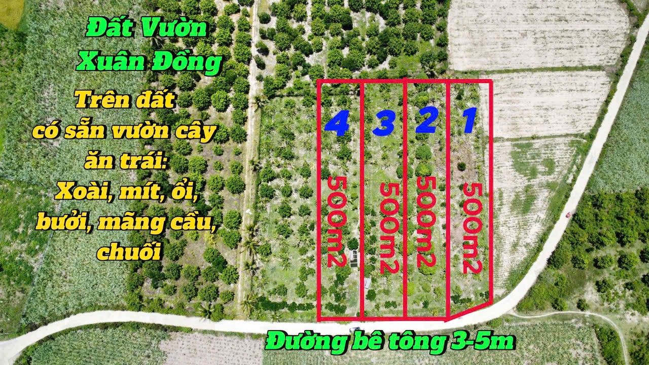 Đất vườn Diên Lâm, Diên Khánh 500m² - Sổ đỏ chính chủ!
