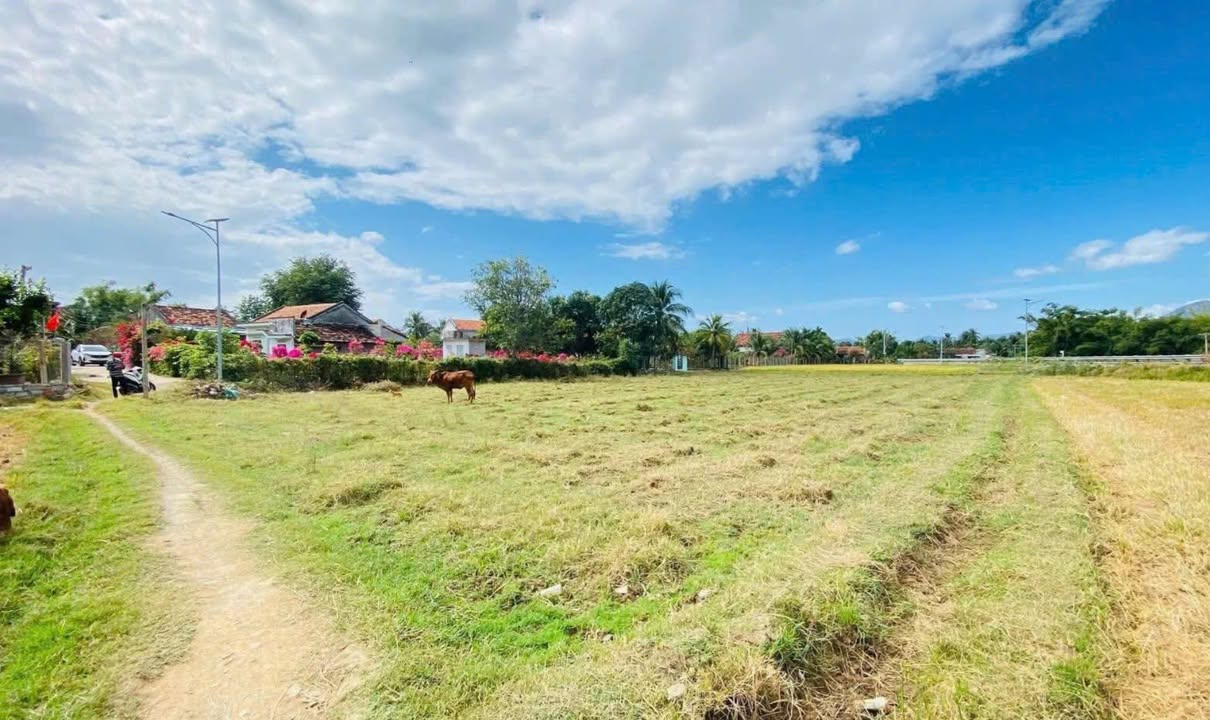 Đất thổ cư 114m² tại Vạn Bình - Giá chỉ 515 triệu - Cơ hội đầu tư tuyệt vời!