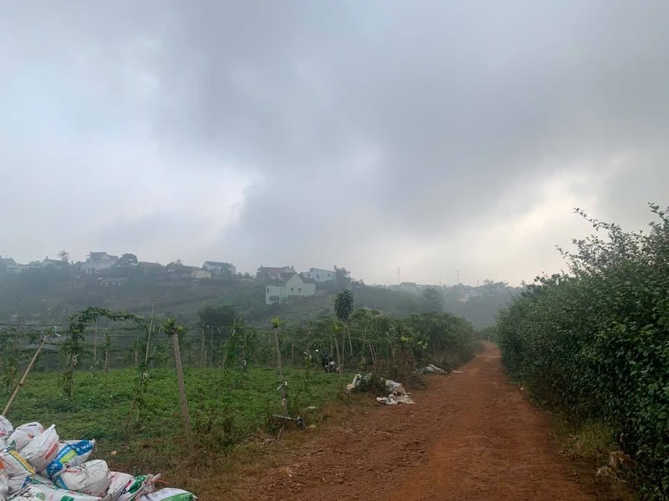 Đất nền 1500m² tại Thôn 2 Lộc Tân, giá 700 triệu - Cơ hội đầu tư hấp dẫn!