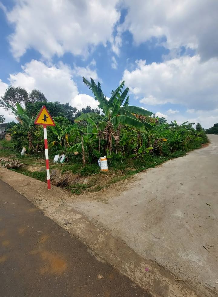 Đất nền Phường 2 Bảo Lộc 600m² giá 4.2 tỷ - Sổ đỏ chính chủ!